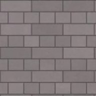 Pavlott1