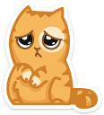 cat7    {cat7} {cat7}