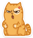 cat15    {cat15} {cat15}