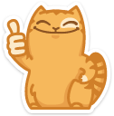 cat16    {cat16} {cat16}