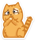 cat27    {cat27} {cat27}