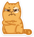 cat30    {cat30} {cat30}