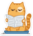 cat34    {cat34} {cat34}