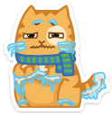 cat48    {cat48} {cat48}